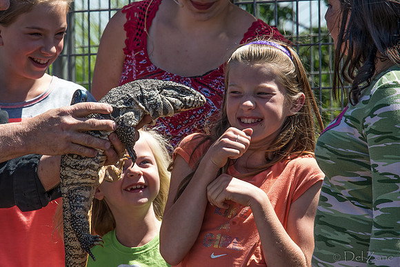07-20 Gila Monster--3