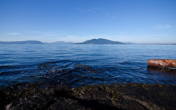 _DSC4167