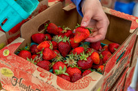 06-21 Farmers Market Tiffs--12