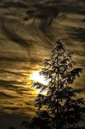 Sky Flames-27