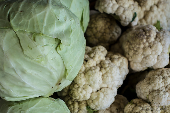 10-05 Farmers' Market--63