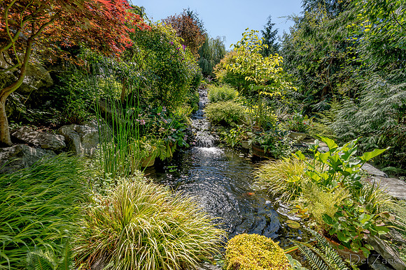 08-17 Shadra Garden 2015 TIFFs--40
