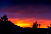 02-27 Surprize Sunset Tiffs--4