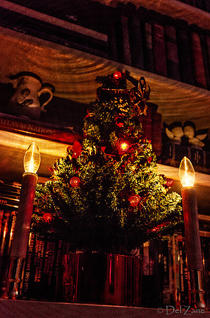 12-15 Small Xmas Tree-1