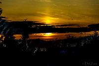 BO Sunset--9