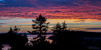 09-06 Purple Sunset--8