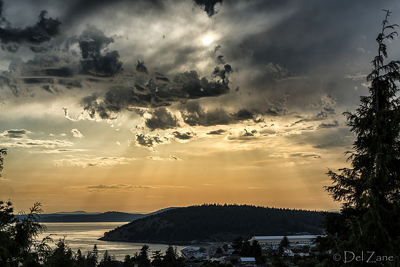 Bronze Sunset-