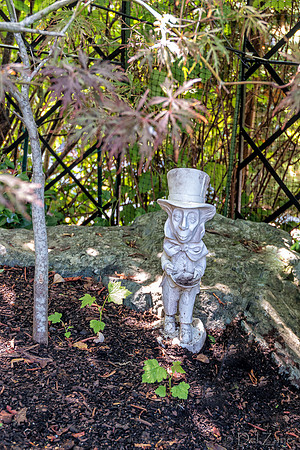 08-17 Shadra Garden 2015 TIFFs--21