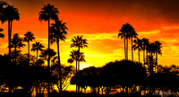Crimson Sunset vs Dancing Waters 01-16-2020