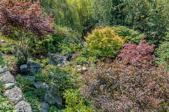 08-17 Shadra Garden 2015 TIFFs--46