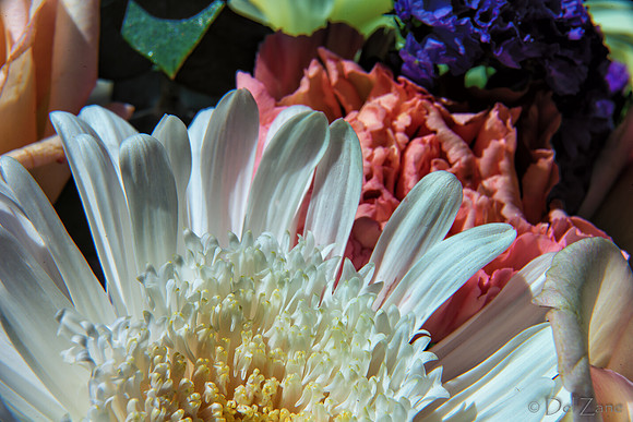 05-03 Macro All 28-300mm D600 Bouquet--3