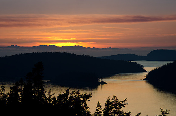 _DSC4885