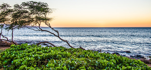 Kamaole III Beach Sunset-31