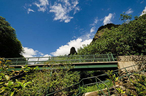 Iao Valley State Park-27
