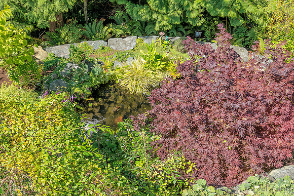 08-17 Shadra Garden 2015 TIFFs--45