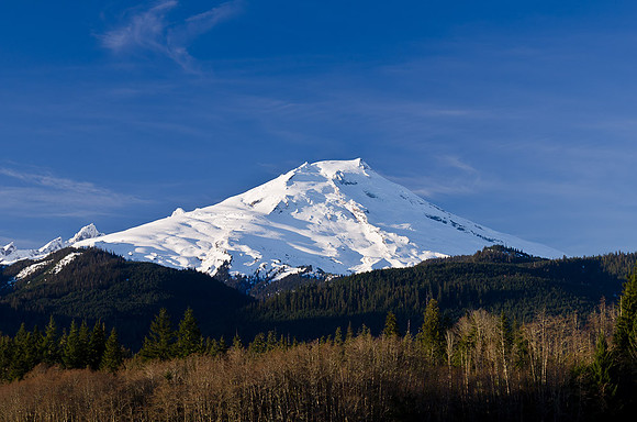 _DSC5101