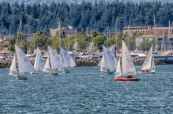 07-25 Lido 14 Class Championship-102