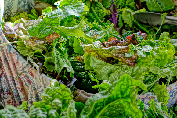 10-05 Farmers' Market--75