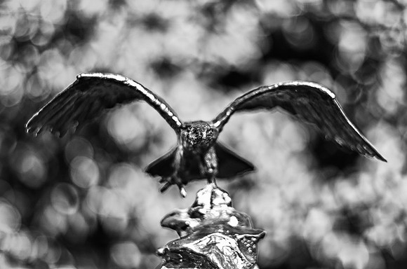 Bronze Eagle-2