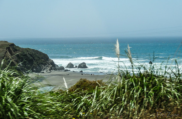 SDZ Trip Pix--42