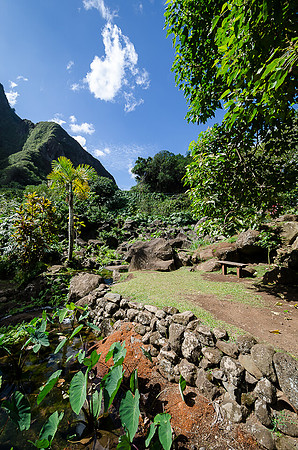 Iao Valley State Park-24