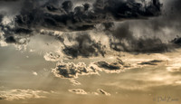 Bronze Sunset--3
