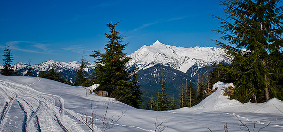_DSC4997