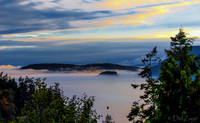 Foggy Sunset