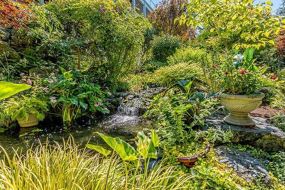 08-17 Shadra Garden 2015 TIFFs--39