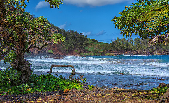 Big Waves from Hana-27