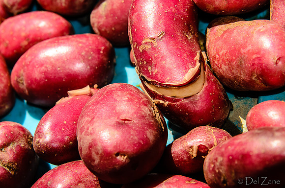 07-21 Farmers' Market-23