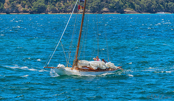 Bay of Islands NZ--27