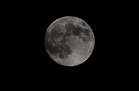 _DSC4459