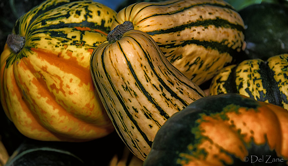11-17 Indoor Farmers Market-94