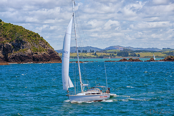 Bay of Islands NZ--15