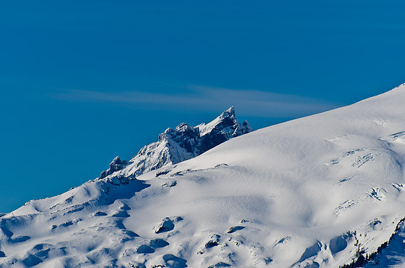 _DSC5010