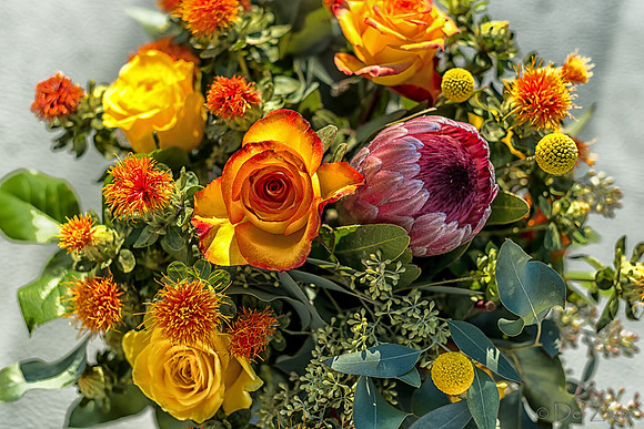 10-01 Bouquet TIFFs--21