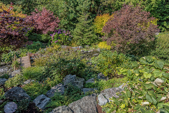 08-17 Shadra Garden 2015 TIFFs--50