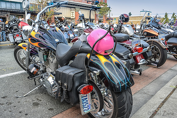 09-23 Oyster Run-56