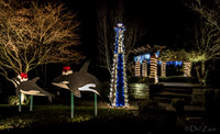 12-03 MH Nighttime Xmas Display--10