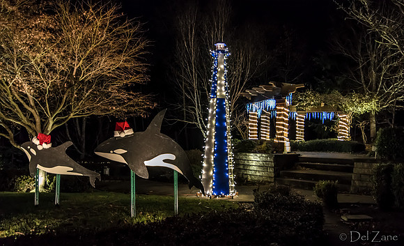 12-03 MH Nighttime Xmas Display--10