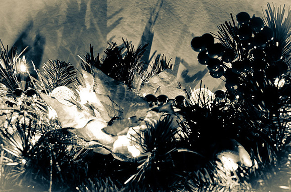 _DSC4648