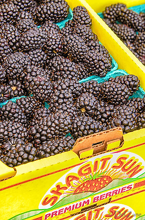 07-21 Farmers' Market-50