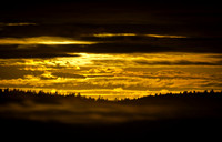 _DSC5131