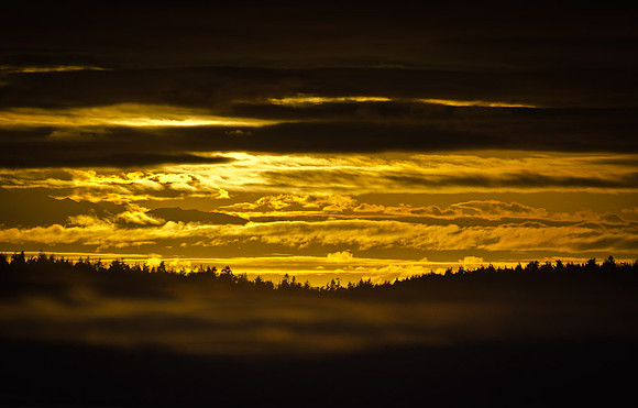 _DSC5131