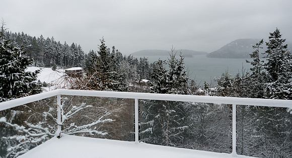 12-20 Snowy Day-0595