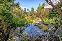 08-17 Shadra Garden 2015 TIFFs--16
