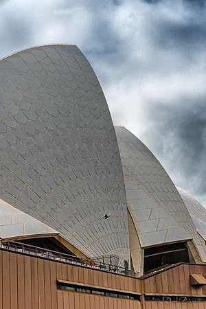 Sydney Walkabout--19