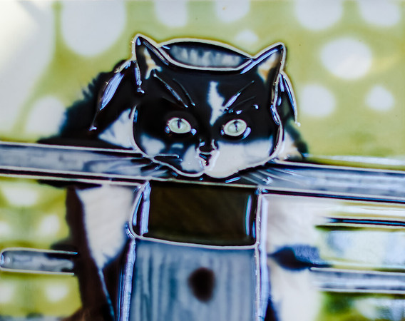 Pike Place Market Cats-10