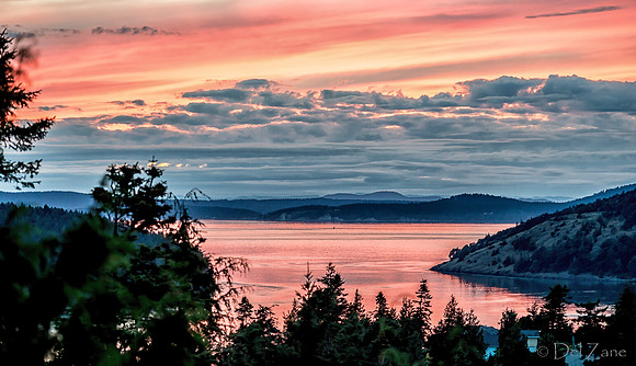 09-22 Very Pink Sunset--2